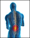 Human back