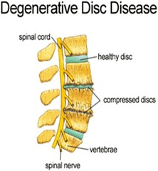 Best-Pain-Doctor-NYC-2