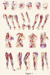 Best-Pain-Doctor-NYC-3