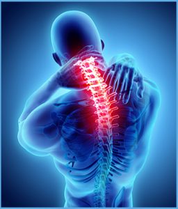 pain specialist